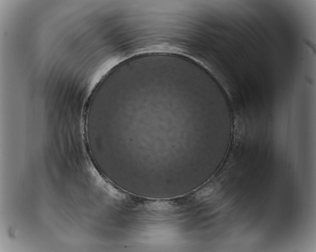 X0000103430998200809261726