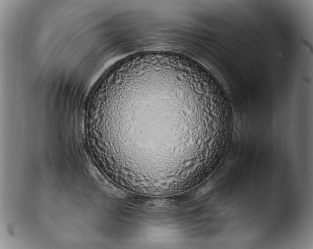 X0000103431000200809261726