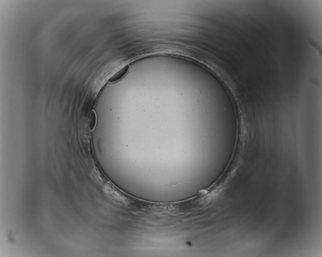 X0000103431001200809261726