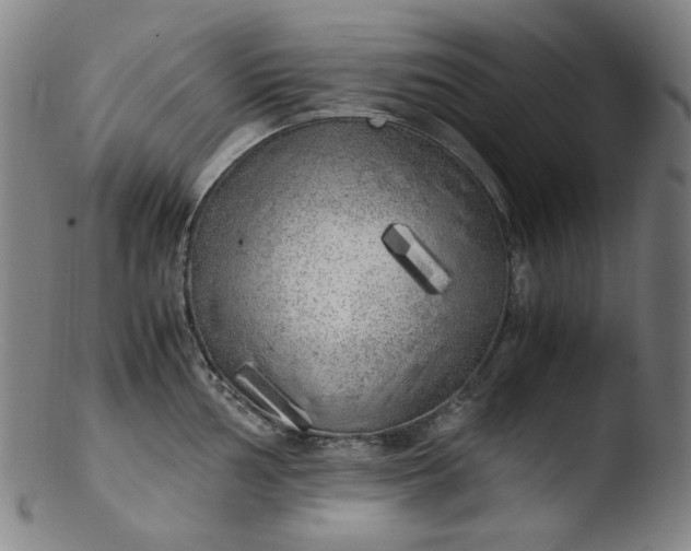 X0000103431002200809261726