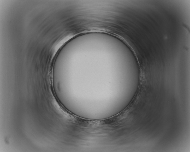 X0000103431003200809261726