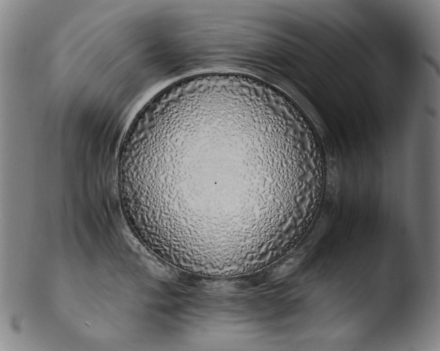 X0000103431004200809261726