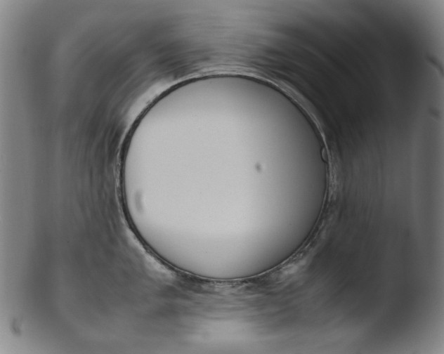 X0000103431005200809261726