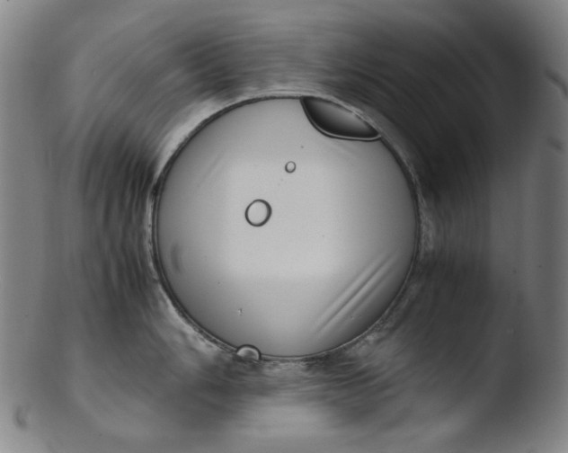 X0000103431006200809261726