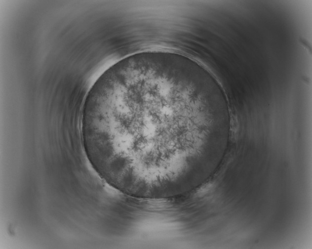 X0000103431007200809261726