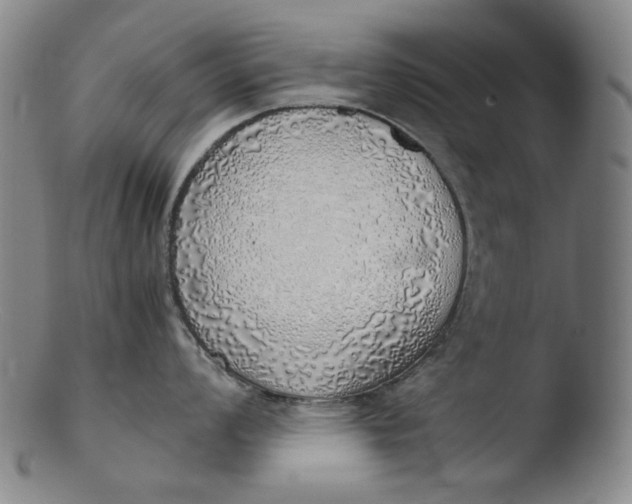 X0000103431008200809261726