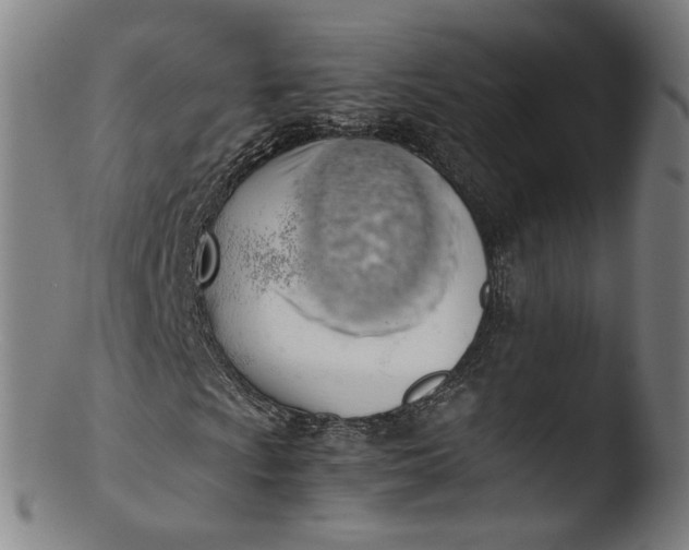 X0000103431009200809261725