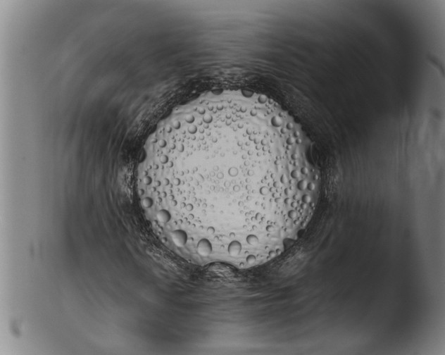 X0000103431010200809261725