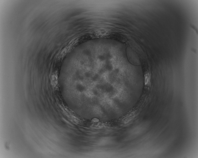 X0000103431011200809261725