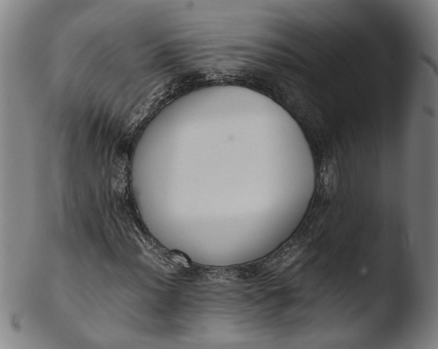 X0000103431012200809261725