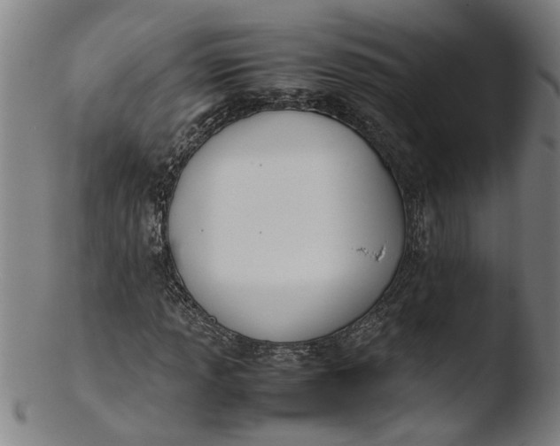 X0000103431013200809261725