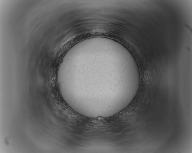 X0000103431015200809261725