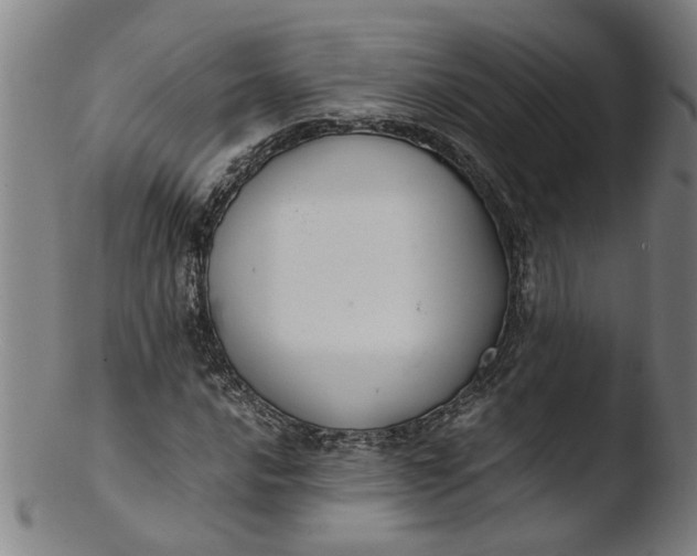 X0000103431016200809261725