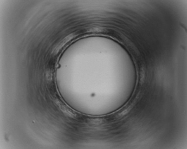 X0000103431017200809261725