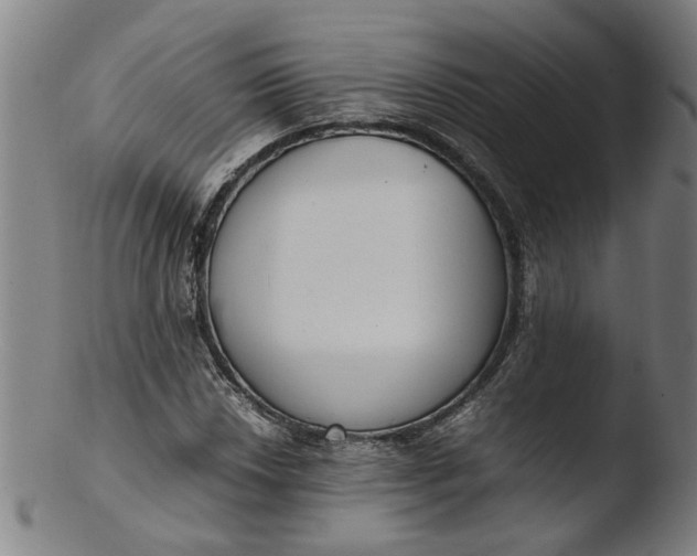 X0000103431018200809261725