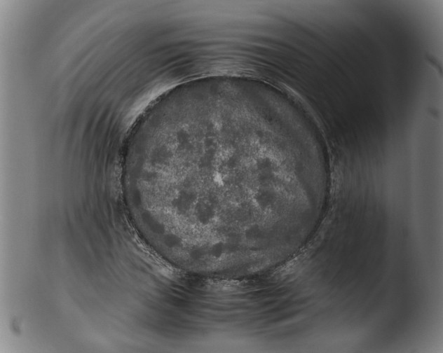 X0000103431019200809261725