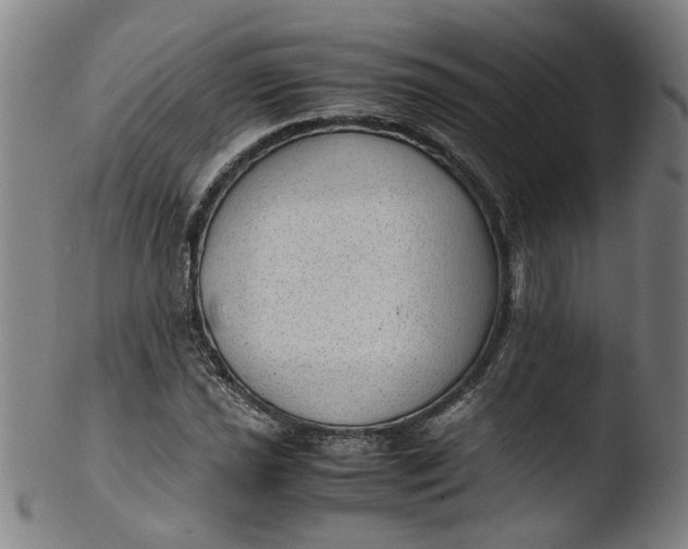 X0000103431021200809261725