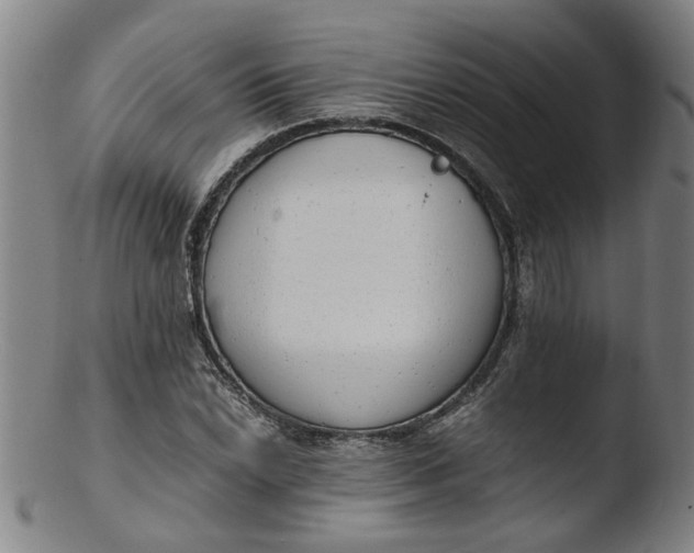 X0000103431022200809261725