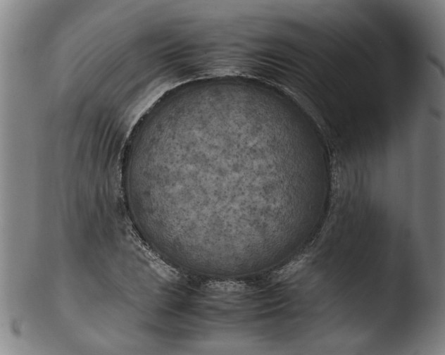 X0000103431023200809261725