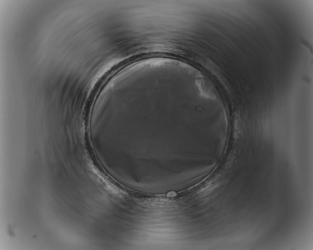 X0000103431024200809261725