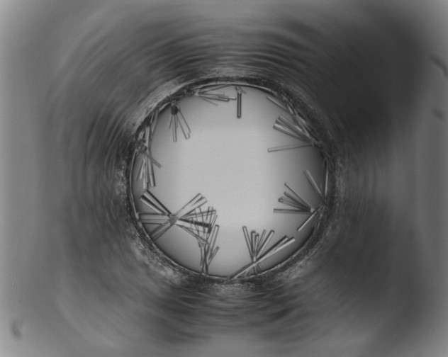 X0000103431025200809261726