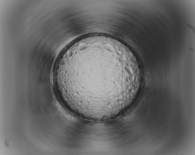 X0000103431028200809261726