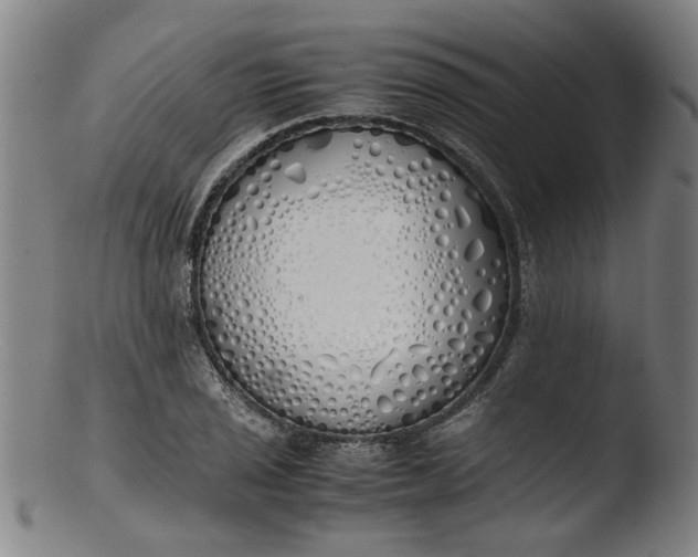 X0000103431029200809261726