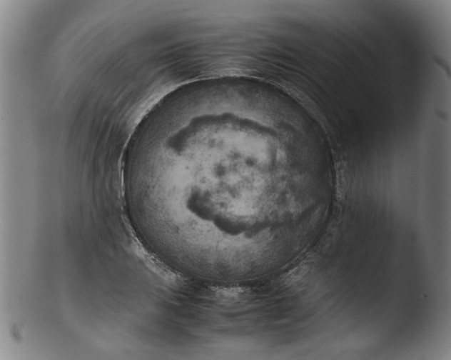 X0000103431031200809261726