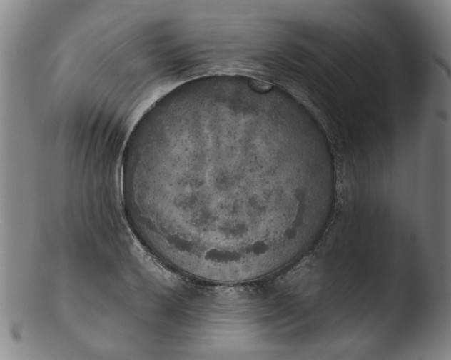 X0000103431032200809261726