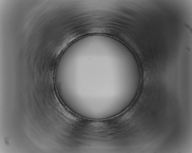 X0000103431033200809261726