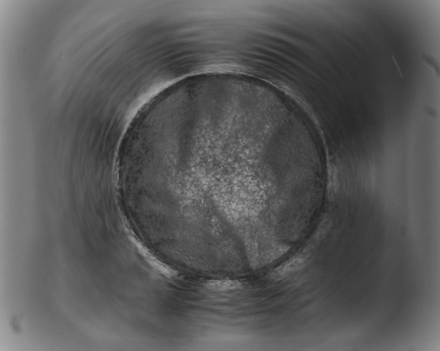 X0000103431037200809261726