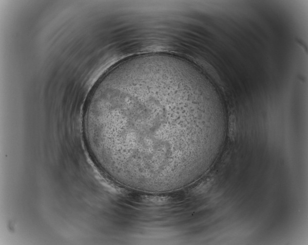 X0000103431039200809261726