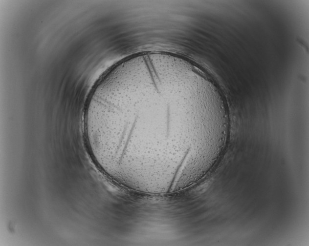 X0000103431040200809261726