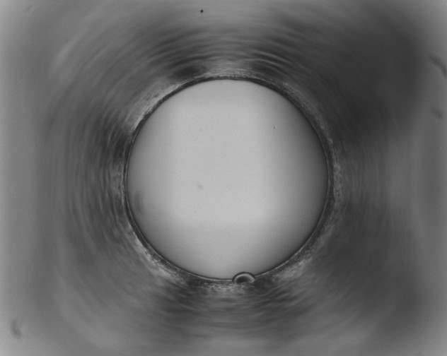 X0000103431041200809261726