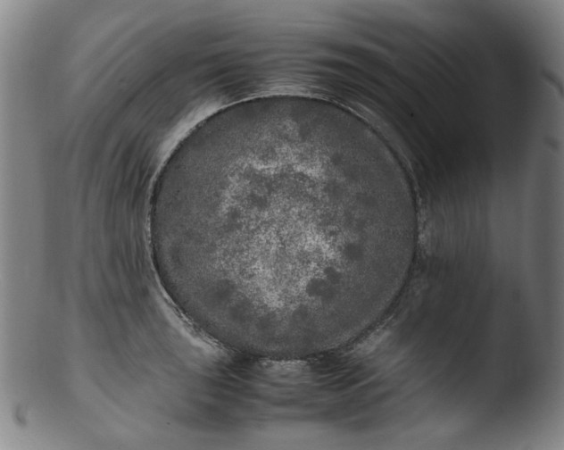 X0000103431043200809261726