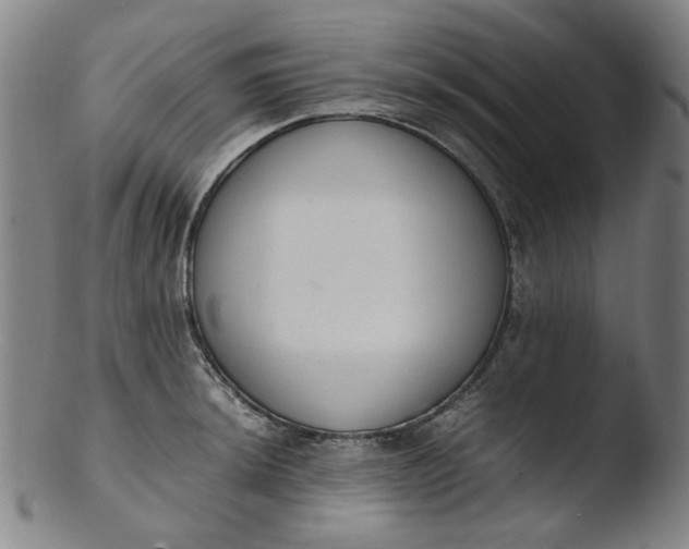 X0000103431044200809261726