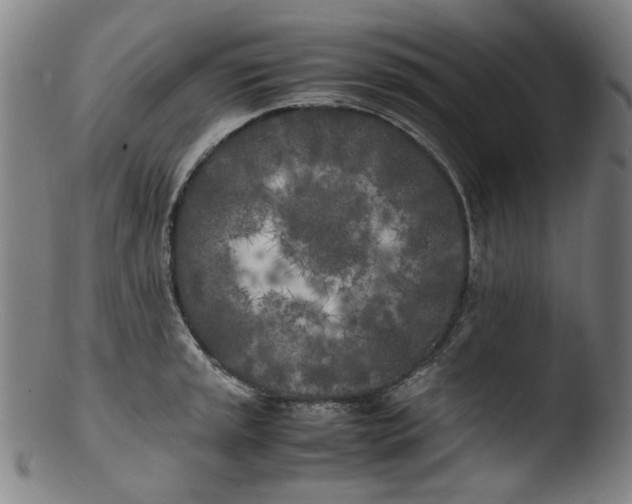 X0000103431045200809261726