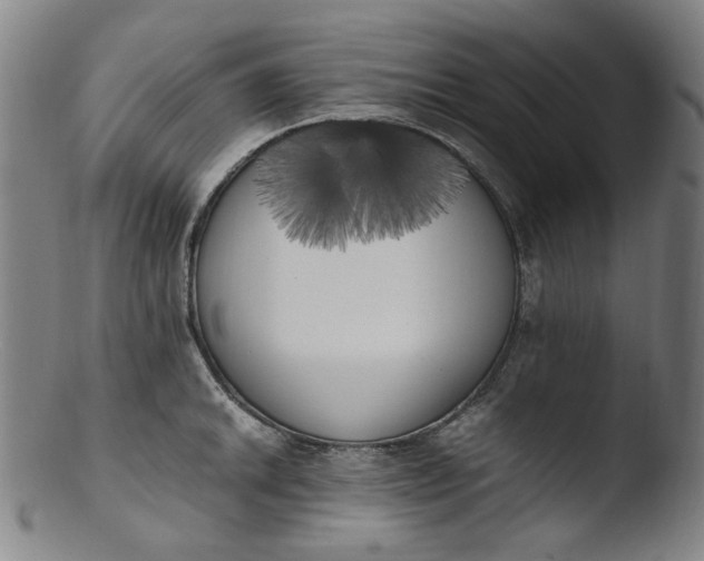 X0000103431046200809261726