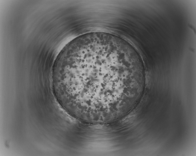 X0000103431048200809261726