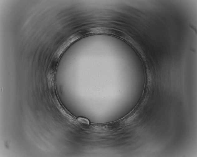 X0000103431049200809261726