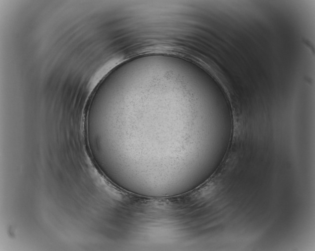 X0000103431050200809261726