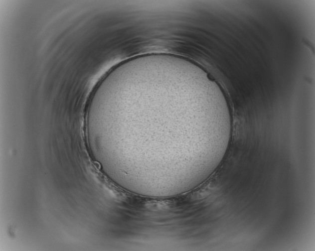 X0000103431051200809261726