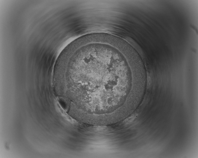 X0000103431052200809261726