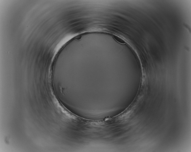 X0000103431053200809261726