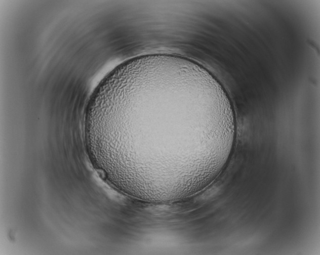 X0000103431054200809261726