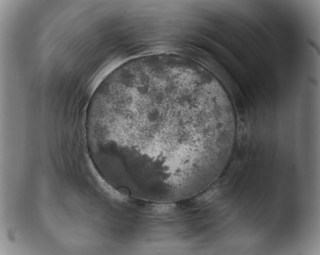 X0000103431055200809261726