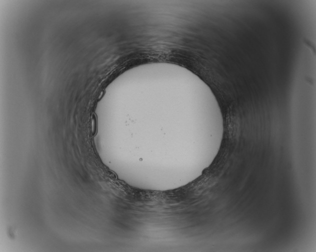 X0000103431057200809261725