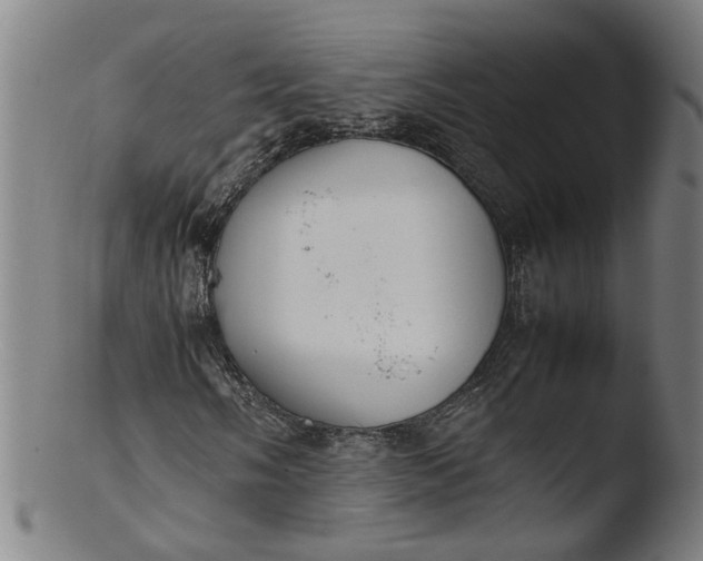 X0000103431058200809261725