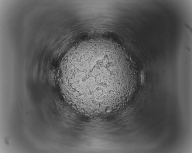 X0000103431059200809261725