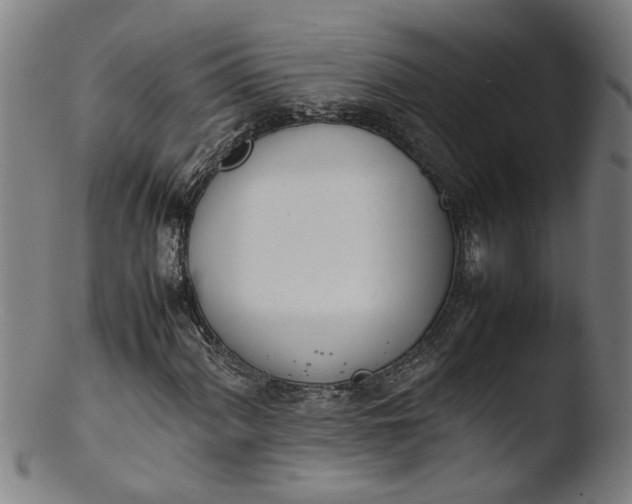 X0000103431060200809261725